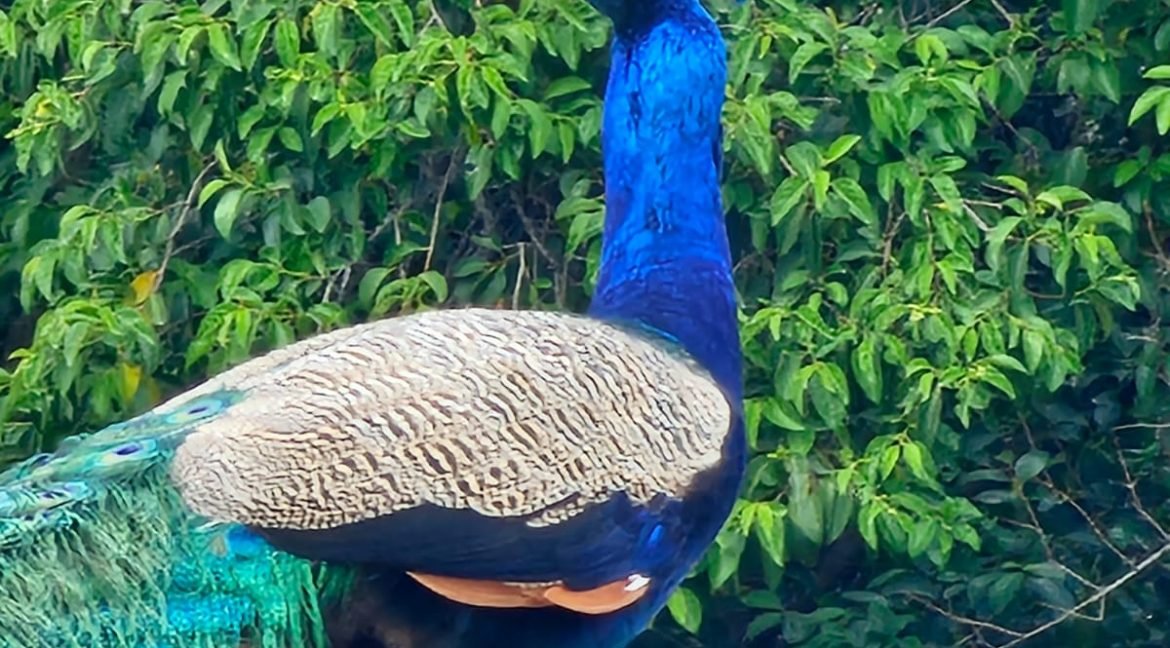 2.1199257864.12-2023.S