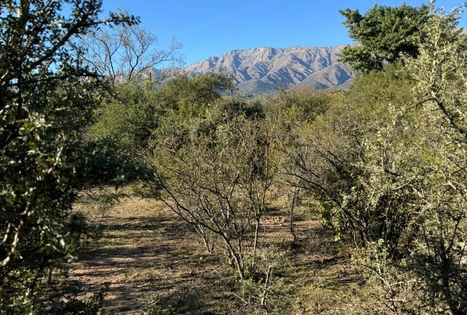 sanjavierpropiedades WhatsApp Image at 16.13.18